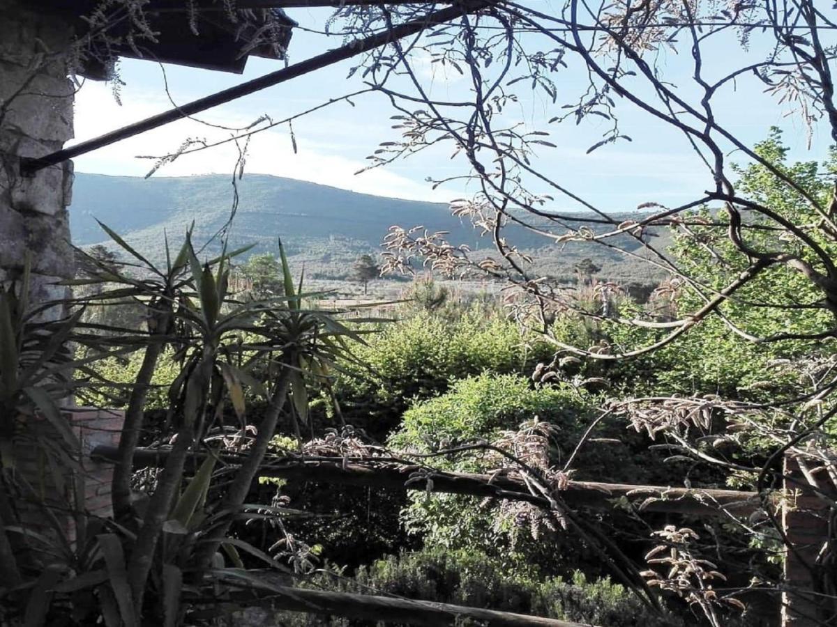 Naturaleza, Confort Y Vistas Inigualable En Casa Rural La Cumbre Гата Екстериор снимка
