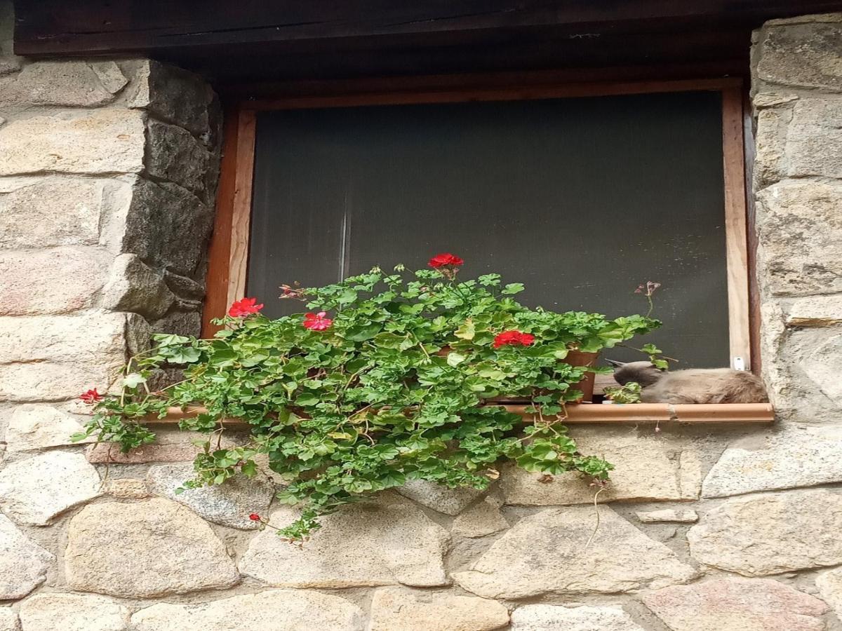 Naturaleza, Confort Y Vistas Inigualable En Casa Rural La Cumbre Гата Екстериор снимка