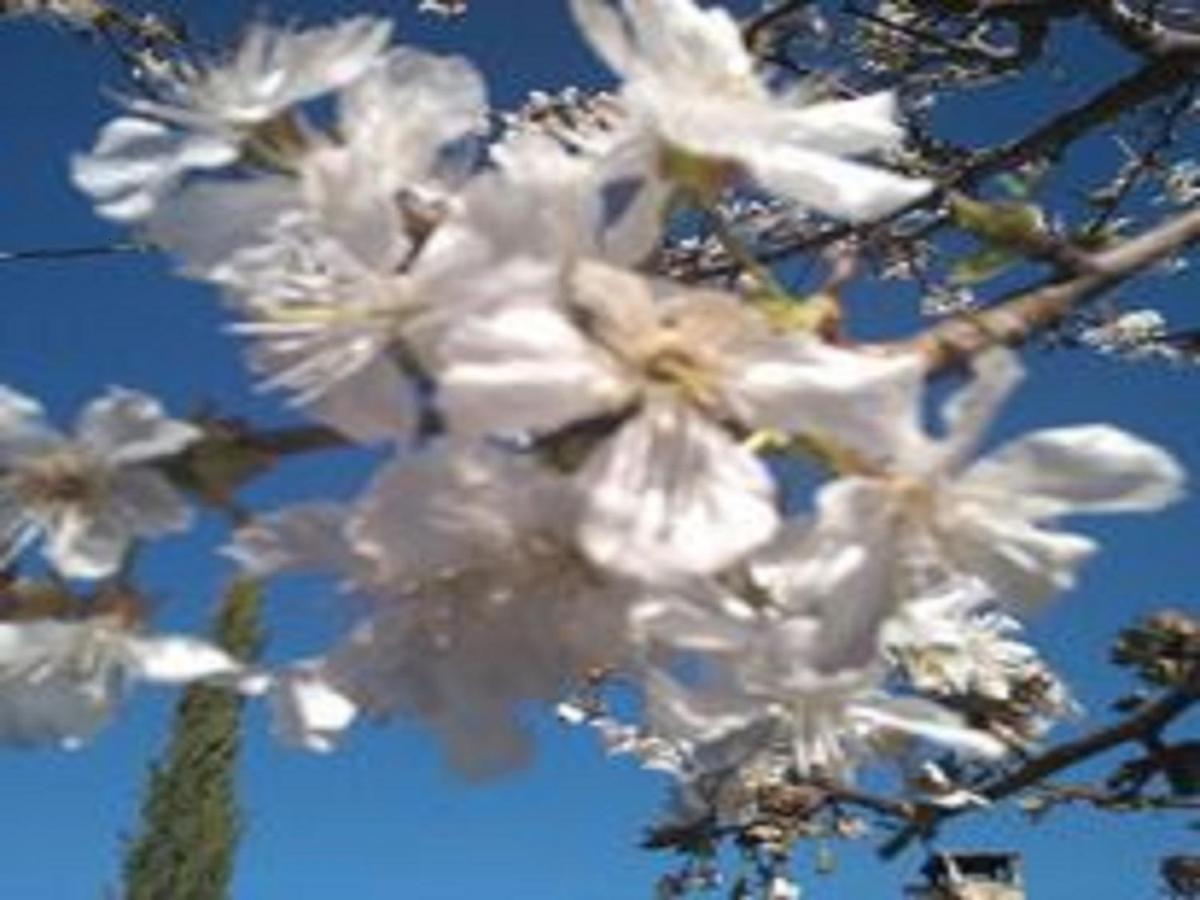 Naturaleza, Confort Y Vistas Inigualable En Casa Rural La Cumbre Гата Екстериор снимка
