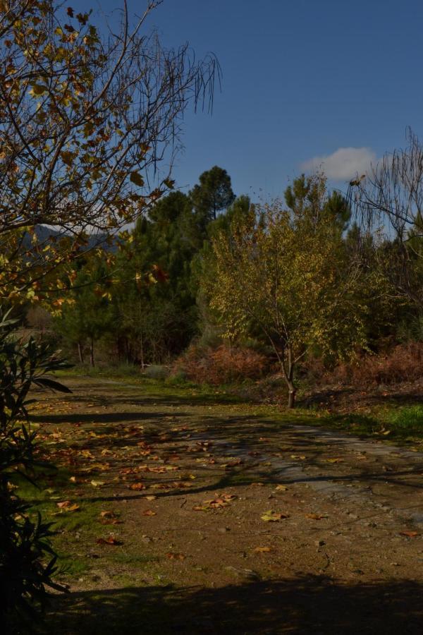Naturaleza, Confort Y Vistas Inigualable En Casa Rural La Cumbre Гата Екстериор снимка